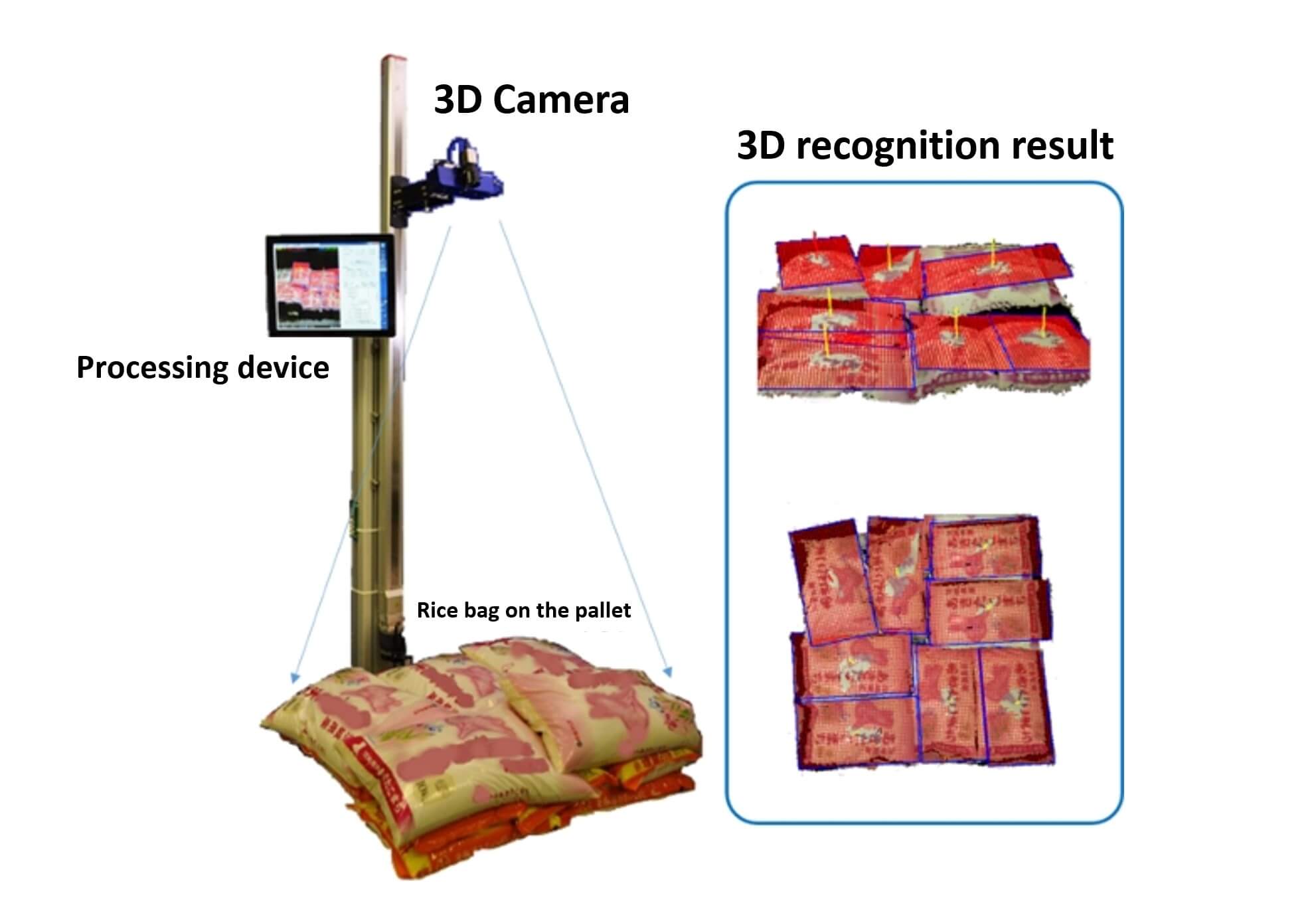 3D recognition result